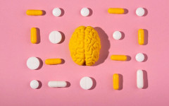 Как хранителните добавки подпомагат мозъчната дейност?