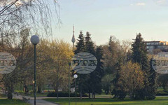 В Бюрото по труда в Добрич са обявени свободни работни позиции за медицински специалисти