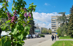 Повече хора са започнали работа през март в област Търговище в сравнение с предходния месец