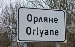 Повече от 50 елена лопатари е разселило Ловно-рибарското дружество в Ловеч в последните три години