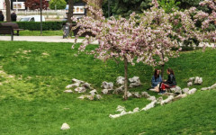 Слънчево време с температури до 25°, сутрин на места със слана