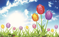 Пролетта ни усмихва, очаквани слънчево време и температури до 25°