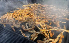 Стара Загора празнува: Фестивал на свинските уши