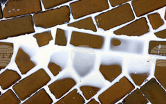 Българската агенция по безопасност на храните ще проверява всички пратки със сурово мляко и млечен концентрат, които влизат в България