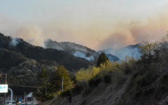 Горски пожари евакуираха 3000 души в Северна Япония