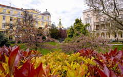 Слънчева, но ветровита неделя