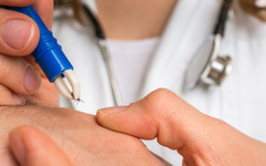 Спрете да мажете кърлежите с олио! Експерт с важни съвети за здравето през пролетта