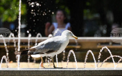 Прогноза за времето