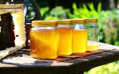Между кошера и рафта - къде се губи качеството на меда?