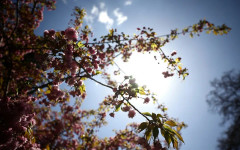 Пролетно време днес, студен фронт носи захлаждане утре