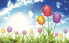 Пролетта ни усмихва, очаквани слънчево време и температури до 25°