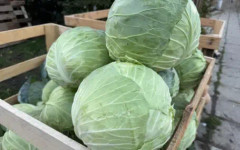 Цените на плодовете и зеленчуците остават високи