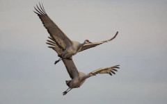 Кадър на деня за 24 април