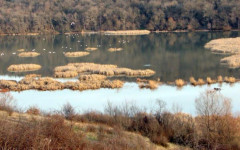 МОСВ обяви нова защитена територия край река Студена