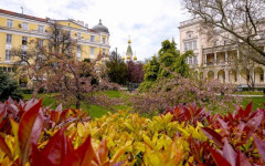 Слънчева, но ветровита неделя