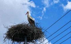 Ясно и тихо тази нощ, за утре е обявен жълт код за силен вятър в Северна България