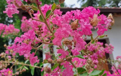 До 28 градуса днес, но от понеделник идва рязко застудяване