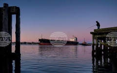 Танкер с петрол от САЩ за първи път пристигна в Япония след началото на конфликта в Близкия изток