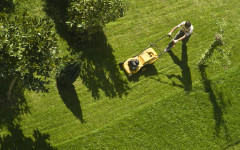 Общински служител откри златни кюлчета за десетки хиляди евро, докато коси трева