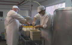 БАБХ започва проверки на 100% от вноса на мляко