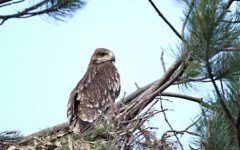 Обявена е нова защитена територия край река Студена, разширени са и три съществуващи местности