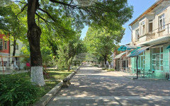 Намаление на криминалните престъпления отчита полицията в Мизия