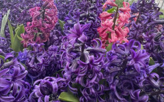 Слънчево и топло