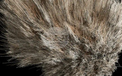 Изложбата "Човешкият алгоритъм" ще бъде открита в столичната галерия "Куб"