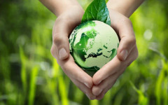 Печалба от природата без щети? Инвеститори наливат милиони в "зелени" бизнеси