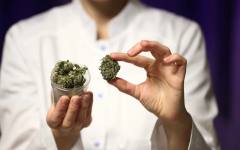 САЩ облекчават достъпа до медицинска марихуана