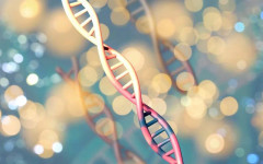 Идеалното бебе - компании в САЩ предлагат генетично перфектни ембриони