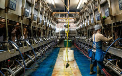 Молбите за помощи при безработица в САЩ леко се повишават