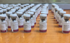 Задържаха 119 флакона ботулинов токсин на "Капитан Андреево"