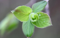 Променлива облачност в петък, 24 април, остава ветровито