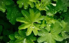 Времето днес, прогноза за четвъртък, 23 април: По-студено, валежите продължават