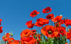 Очаква ни слънчево време с временни увеличения на облачността