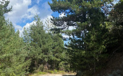 На поход до хижа "Божур" канят великотърновци, започва пролетният дял на "Движи се и победи"