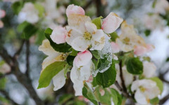 Внимание, слана: Жълт код за отрицателни температури в 7 области (КАРТА)