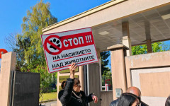 Протест в защита на животните: СГС заседава по делото срещу Габриела Сашова и Красимир Георгиев