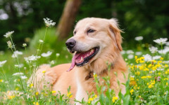 Прогноза за времето - 23 април 2026 г. (четвъртък)