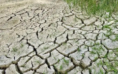 Глобалното затопляне: до края на века близо една трета от хората едновременно ще усещат горещините и сушата