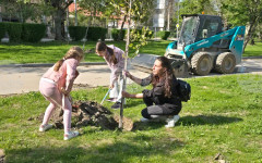 Община Видин засади 34 дръвчета в крайдунавския парк в инициатива с участието на доброволци