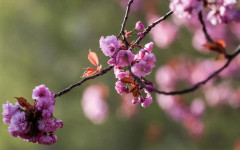 Студено утро. Слънце пробива облаците