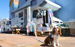 Близо 100 изложители участват в Camping & Caravaning Expo 2026 в София