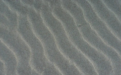 Ефектите от войната в Залива засягат бизнес активността по света