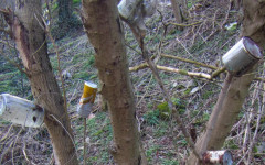 РИОСВ разпореди почистването на две нерегламентирани сметища – в Търновско и Павликенско