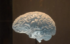 Невролози посочиха 5 навика, от които трябва да се откажете веднага