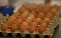 Фермери ще могат да продават директно мляко, яйца и месо при нови правила