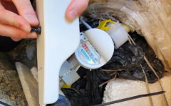 До 5 юни ще се извършва профилактика на водоснабдителните съоръжения в Благоевградско