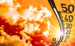 ООН: Световните продоволствени системи са "доведени до ръба" от екстремните жеги